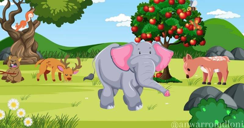 Youtube.com/Anwar Romdloni